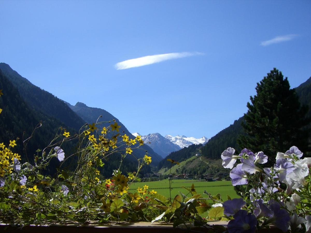 Landhaus Hofer Neustift im Stubaital Eksteriør bilde